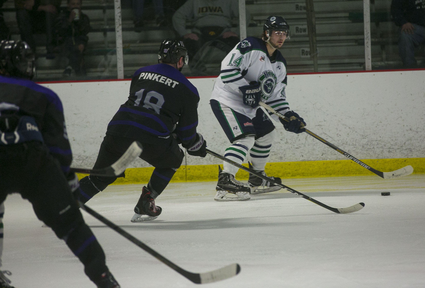 Hockey Bulls vs. Wausau 10